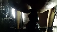 Redare Petrecere BDSM: excavația anală intensă a lui Zena într-o aventură fără sfârșit